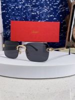 Cartier Black  Man Pure Titanium Eyeglasses 